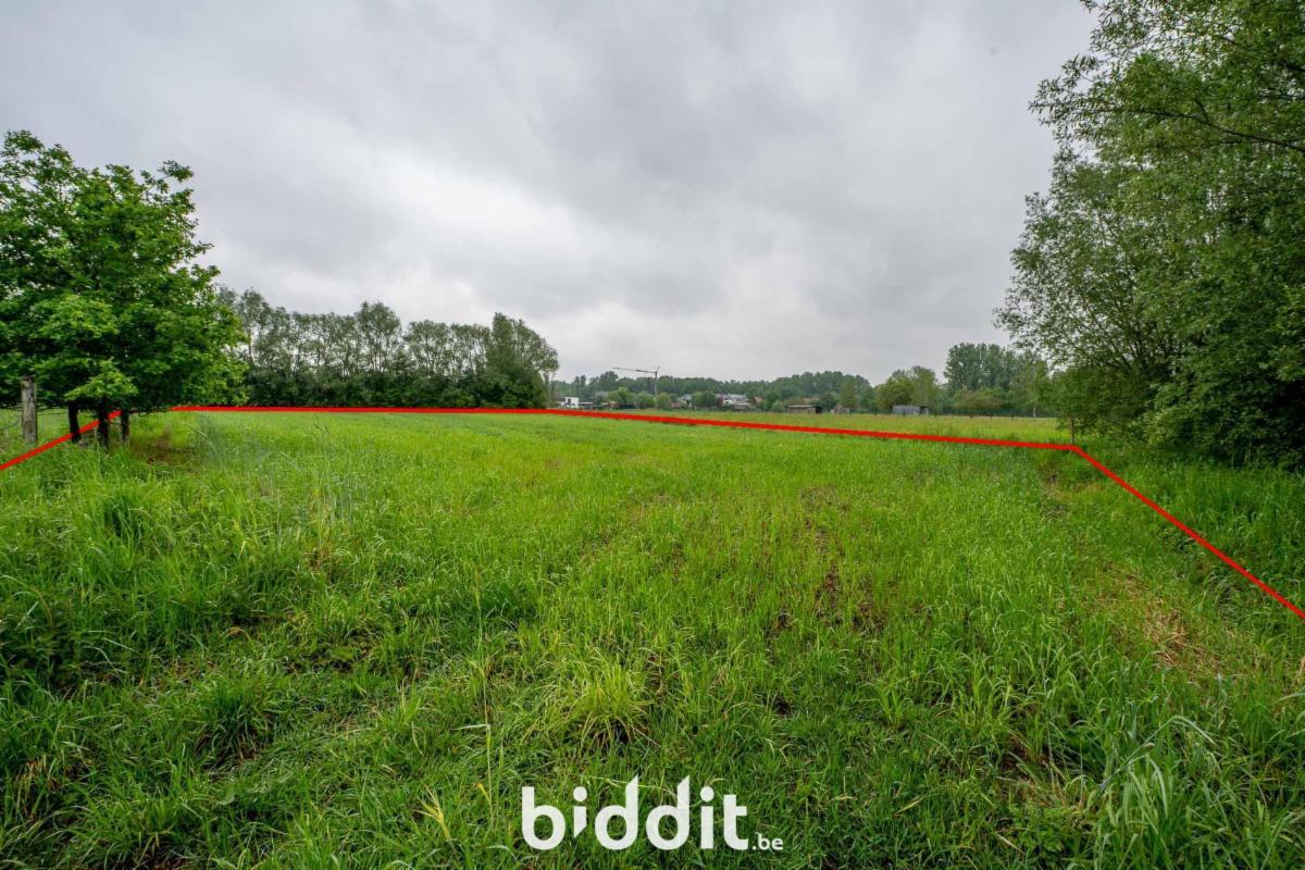 Presentatiebeeld van het pand n° 294674