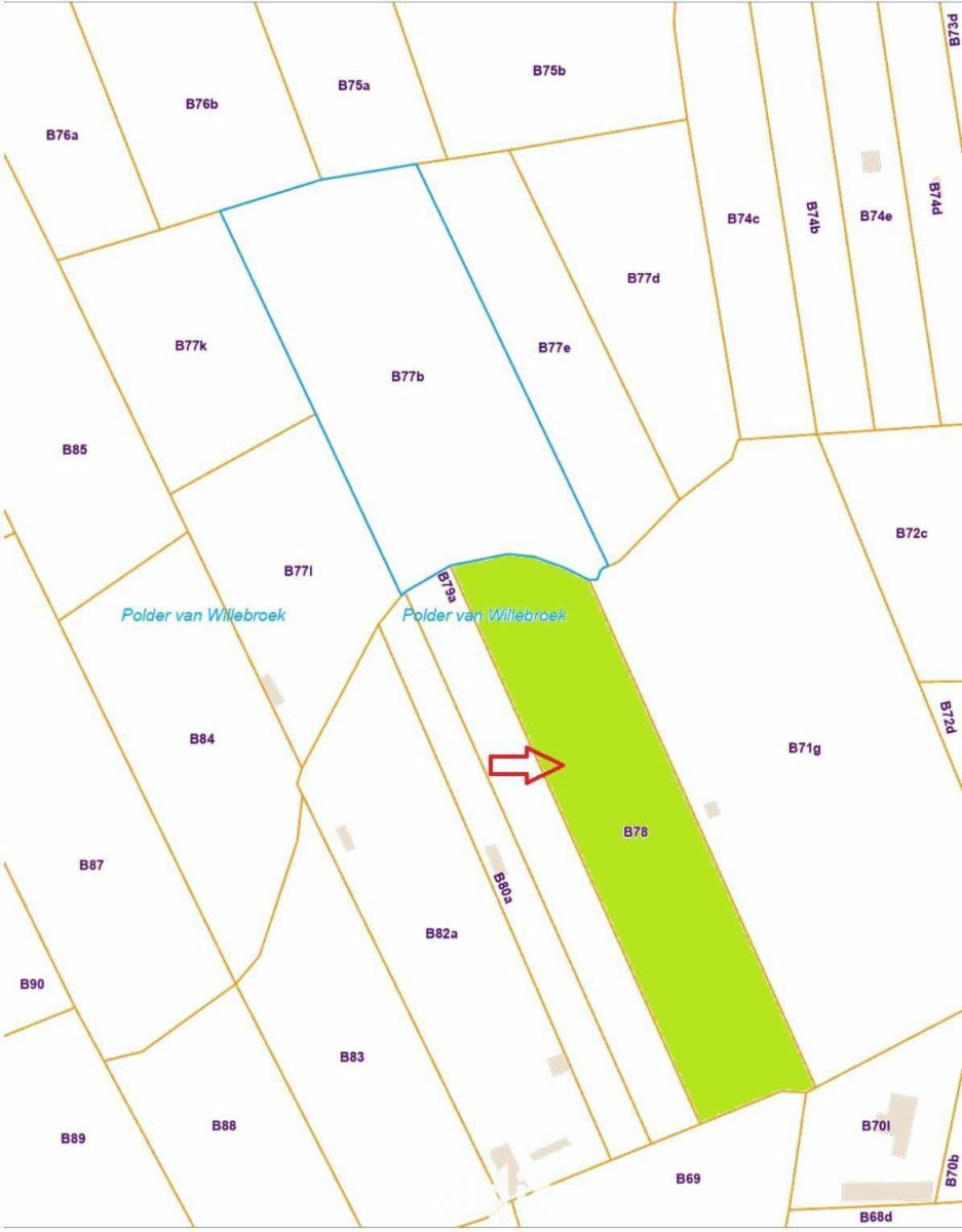 Presentatiebeeld van het pand n° 294681