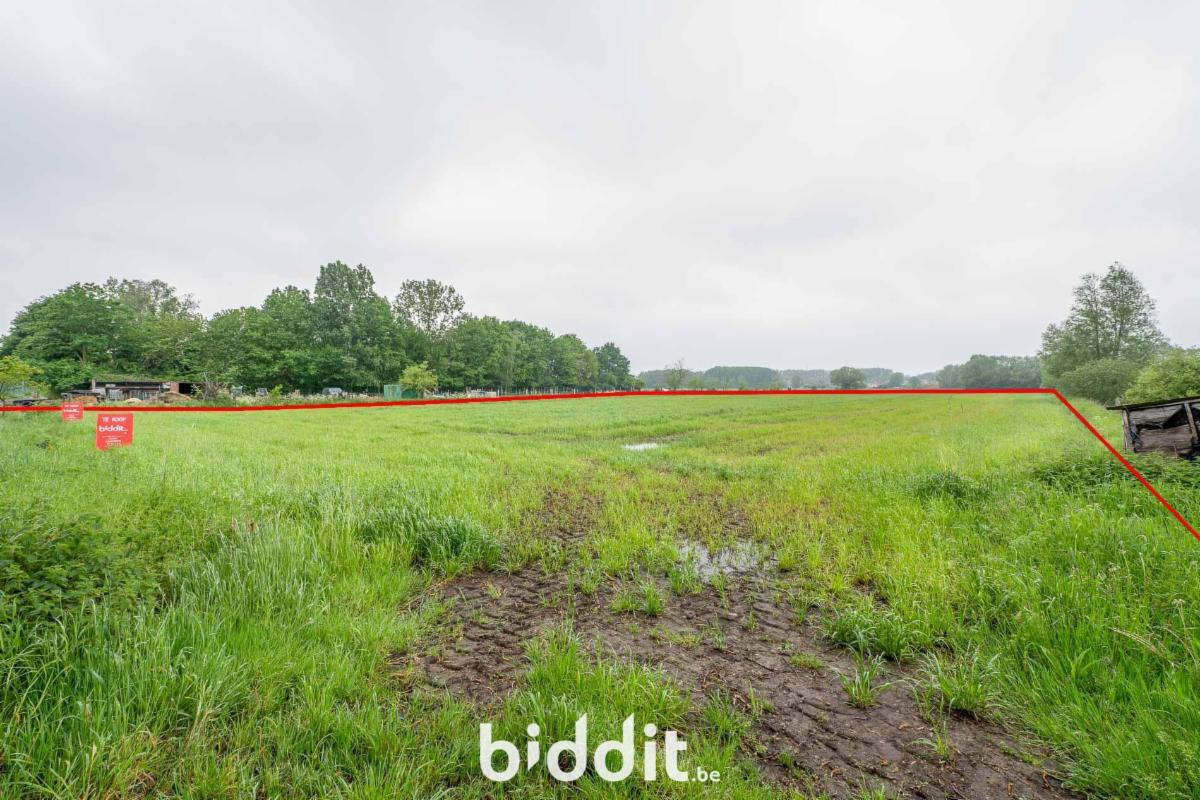 Presentatiebeeld van het pand n° 294681