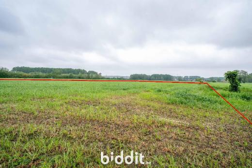 Presentatiebeeld van het pand n° 294685