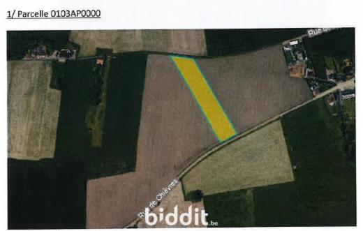 Presentatiebeeld van het pand n° 290934