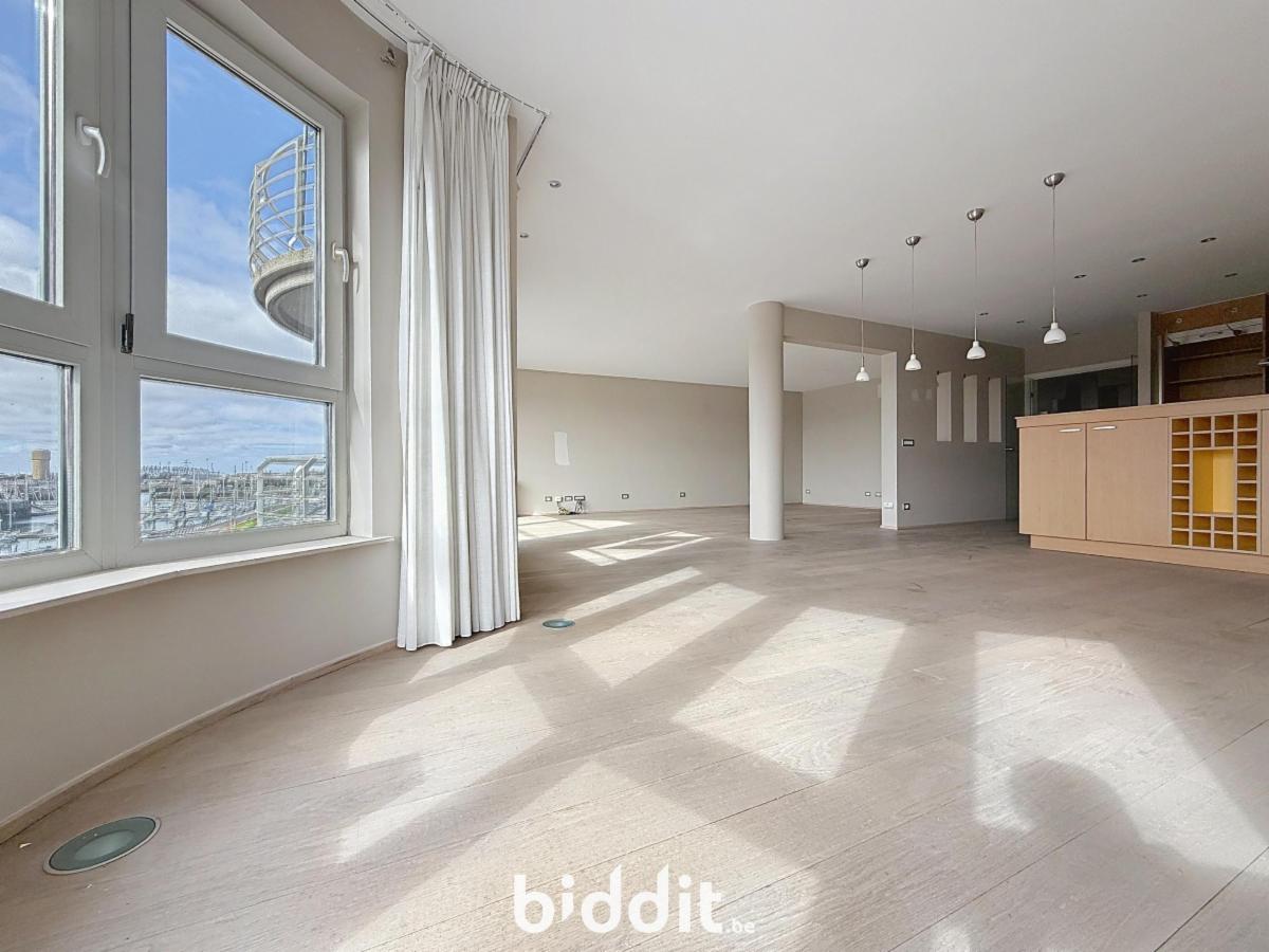 Presentatiebeeld van het pand n° 291884