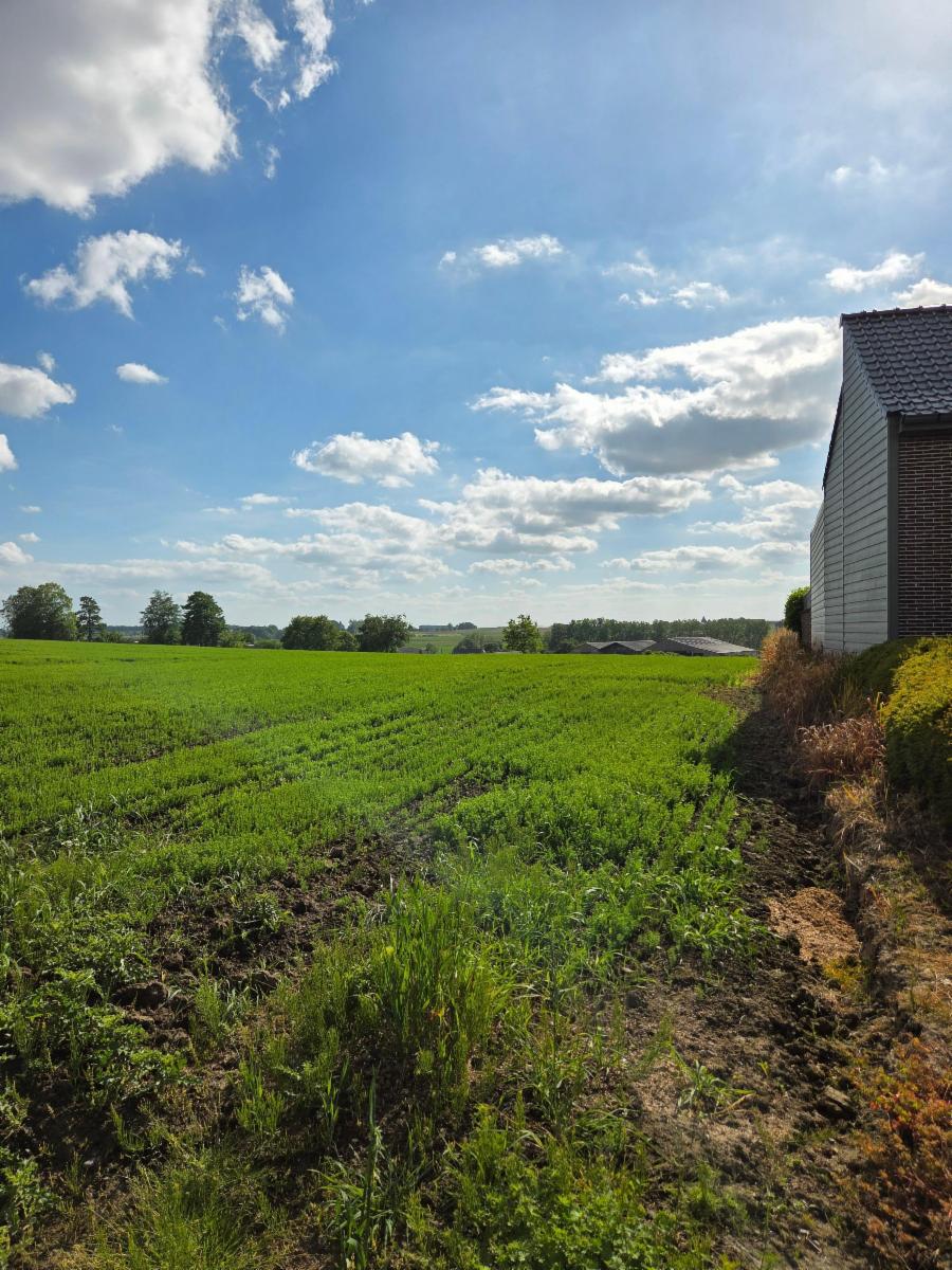 Presentatiebeeld van het pand n° 296996