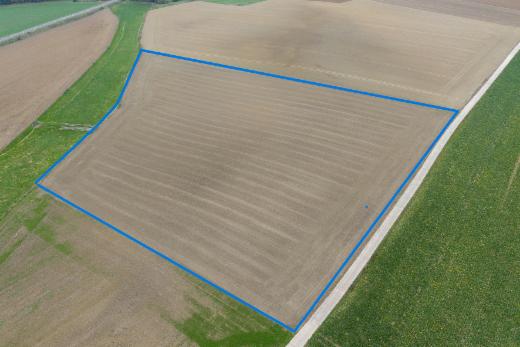Eerste alternatieve foto van het pand
