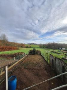 Tweede alternatieve foto van het pand