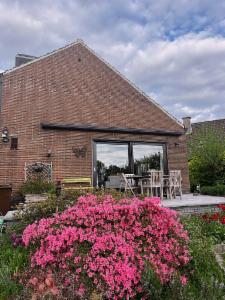 Tweede alternatieve foto van het pand