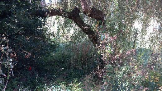 Tweede alternatieve foto van het pand