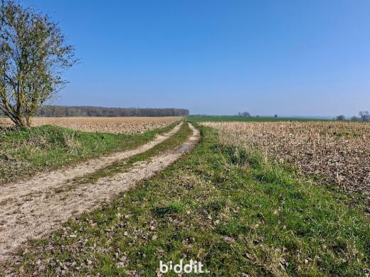 Derde alternatieve foto van het pand