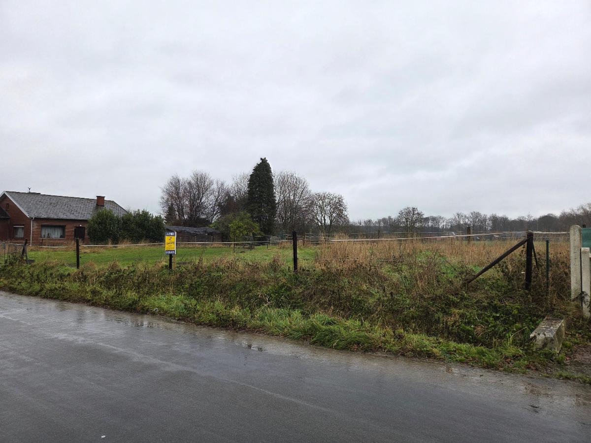 Presentatiebeeld van het pand n° 291823