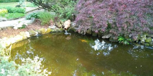 Tweede alternatieve foto van het pand