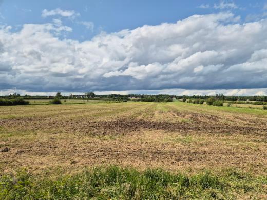Presentatiebeeld van het pand n° 284144