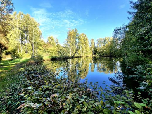 Eerste alternatieve foto van het pand
