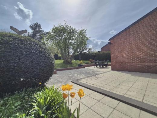 Tweede alternatieve foto van het pand