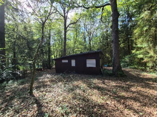 Presentatiebeeld van het pand n° 302391