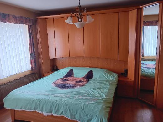 Presentatiebeeld van het pand n° 293013