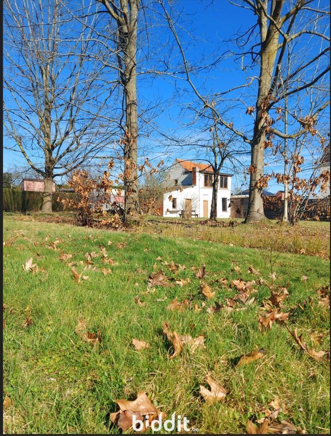 Presentatiebeeld van het pand n° 294454