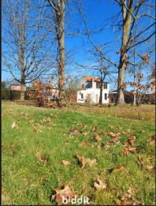 Presentatiebeeld van het pand n° 294454