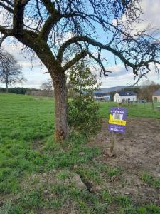 Derde alternatieve foto van het pand