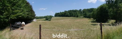 Eerste alternatieve foto van het pand