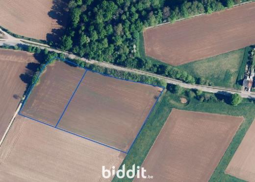 Eerste alternatieve foto van het pand