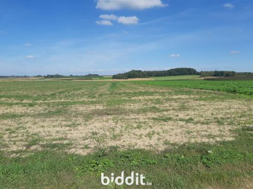 Derde alternatieve foto van het pand