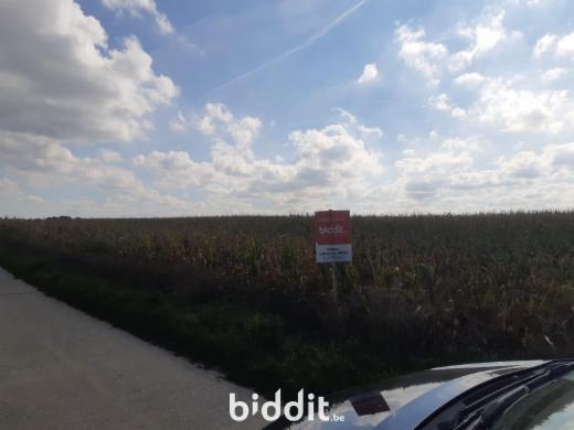 Derde alternatieve foto van het pand