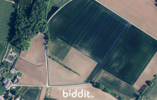 Eerste alternatieve foto van het pand