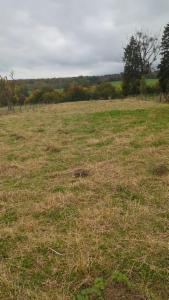 Derde alternatieve foto van het pand