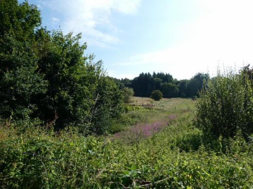 Tweede alternatieve foto van het pand