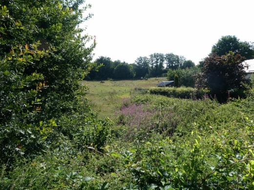 Derde alternatieve foto van het pand