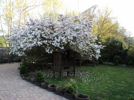 Tweede alternatieve foto van het pand