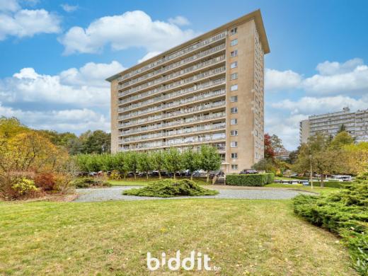 Presentatiebeeld van het pand n° 287952