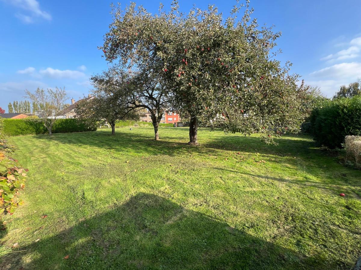 Presentatiebeeld van het pand n° 289016