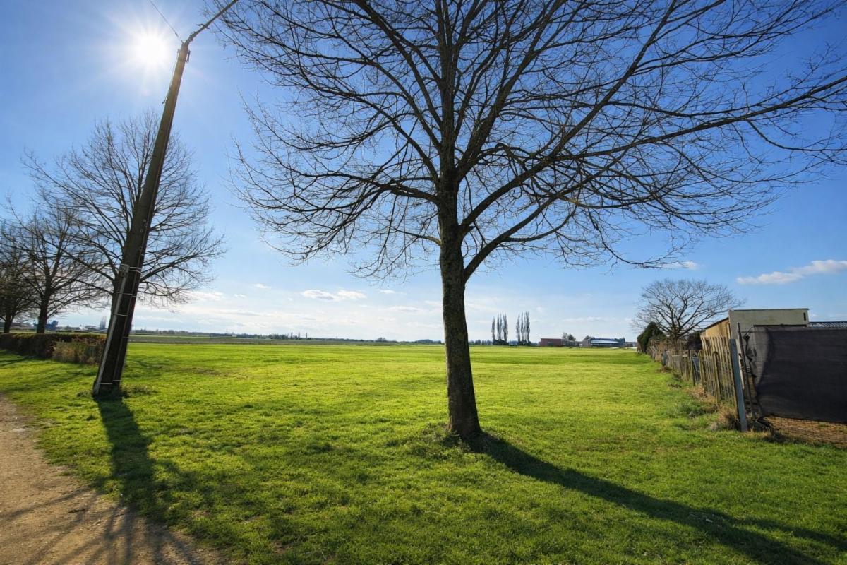 Presentatiebeeld van het pand n° 291721