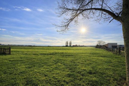 Eerste alternatieve foto van het pand