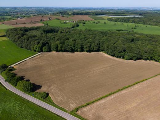 Tweede alternatieve foto van het pand