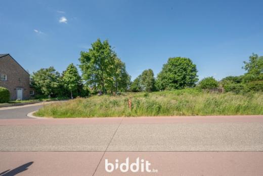 Eerste alternatieve foto van het pand