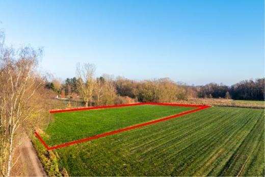 Eerste alternatieve foto van het pand