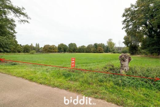 Presentatiebeeld van het pand n° 294162