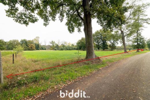 Tweede alternatieve foto van het pand