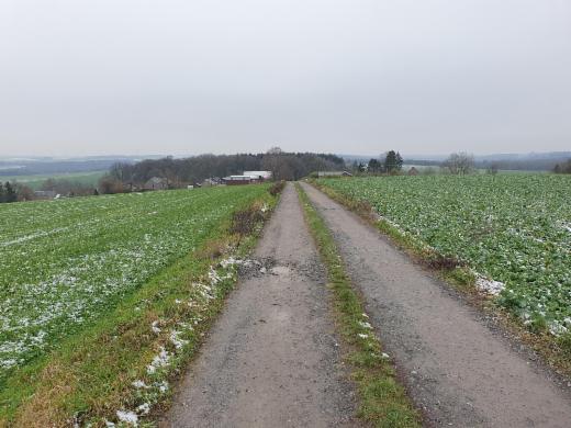 Presentatiebeeld van het pand n° 288743