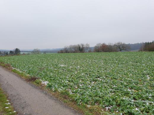 Tweede alternatieve foto van het pand