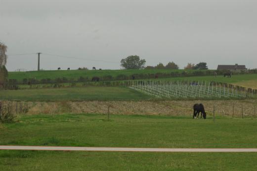 Eerste alternatieve foto van het pand