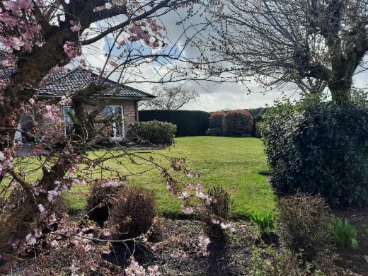 Tweede alternatieve foto van het pand