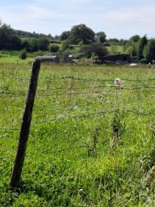 Tweede alternatieve foto van het pand