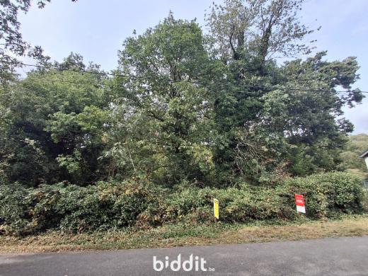 Eerste alternatieve foto van het pand