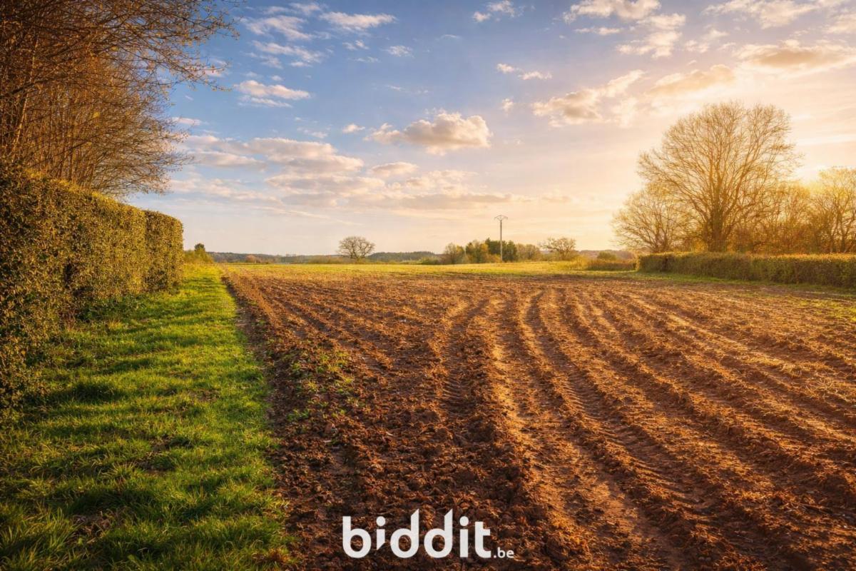 Presentatiebeeld van het pand n° 293278