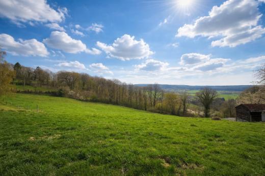 Eerste alternatieve foto van het pand