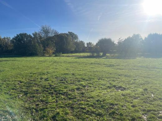 Presentatiebeeld van het pand n° 288480