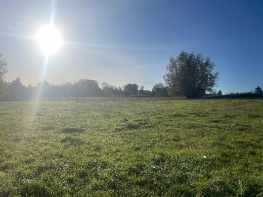 Presentatiebeeld van het pand n° 289552